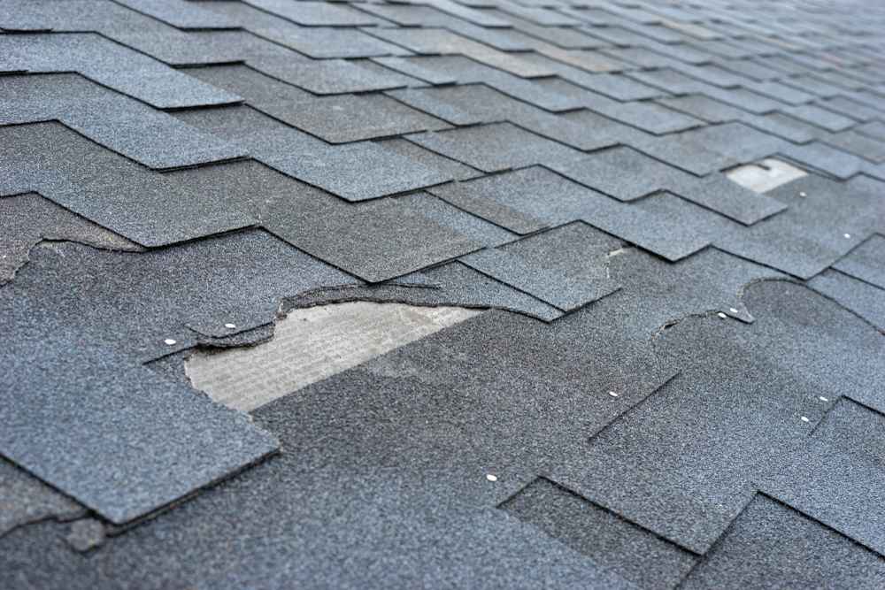 Damaged asphalt shingles